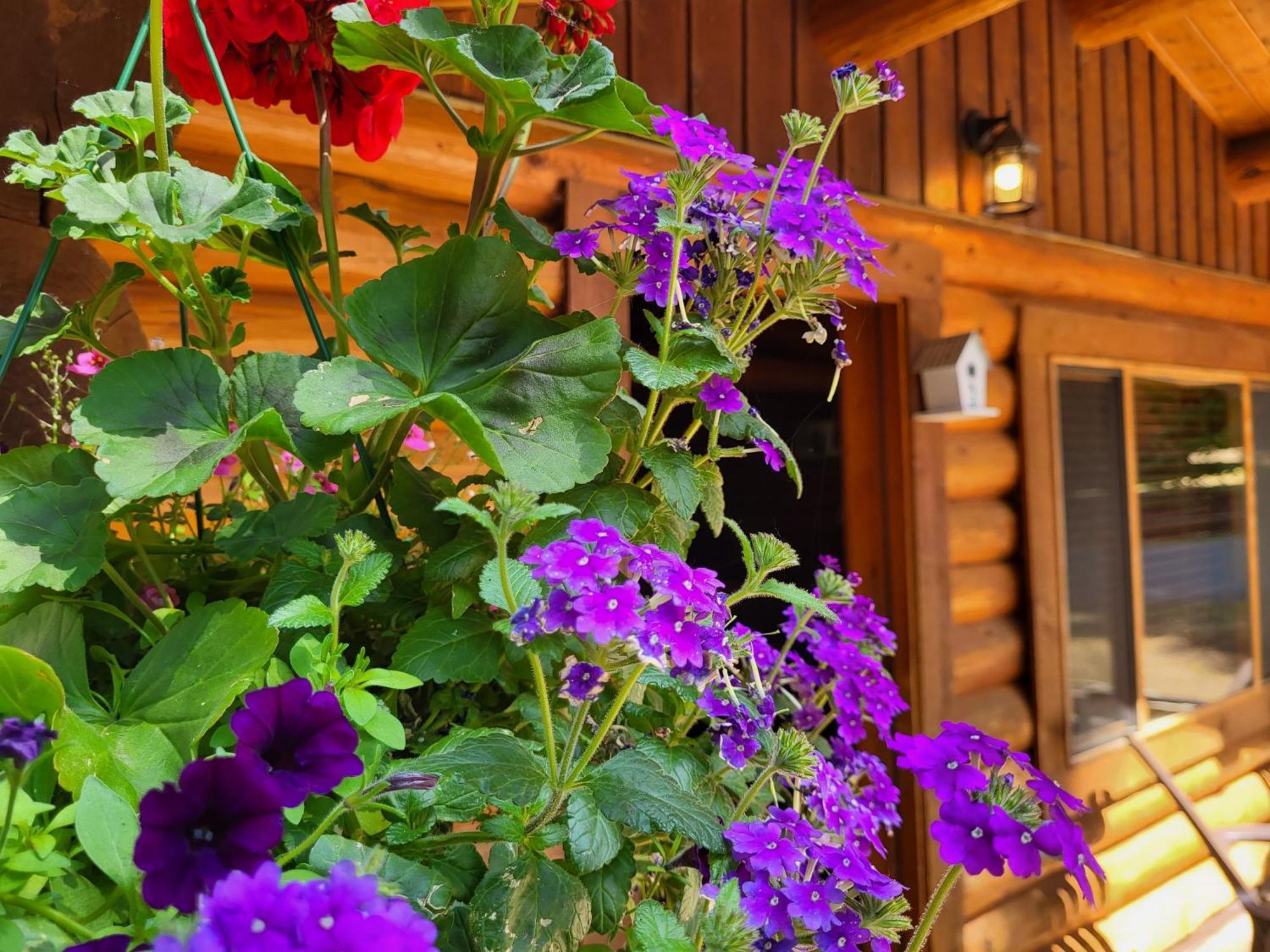 Riverbend Cottage & Rv Resort Parksville Exterior photo